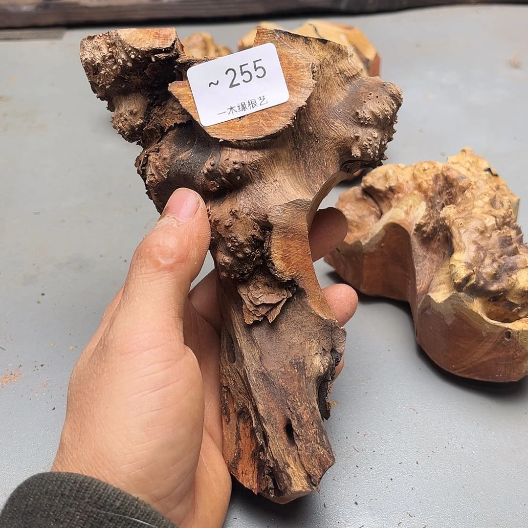 用***8无花朵              255