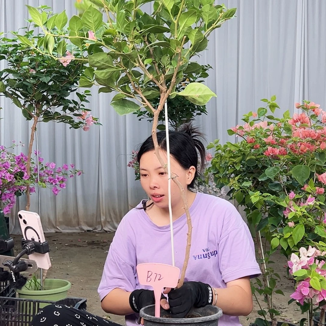 奇***下完全开放B72变色龙