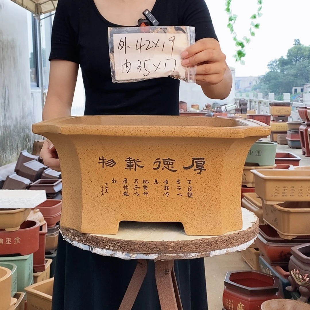 紫砂花盆紫砂花盆