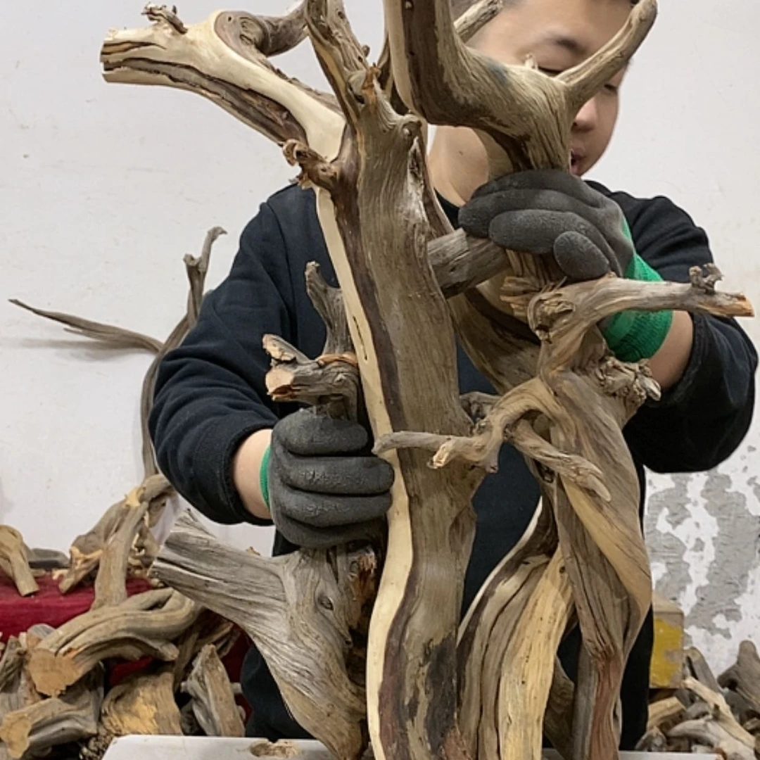 【闪购商品】柏木夜**风我们都是好孩子