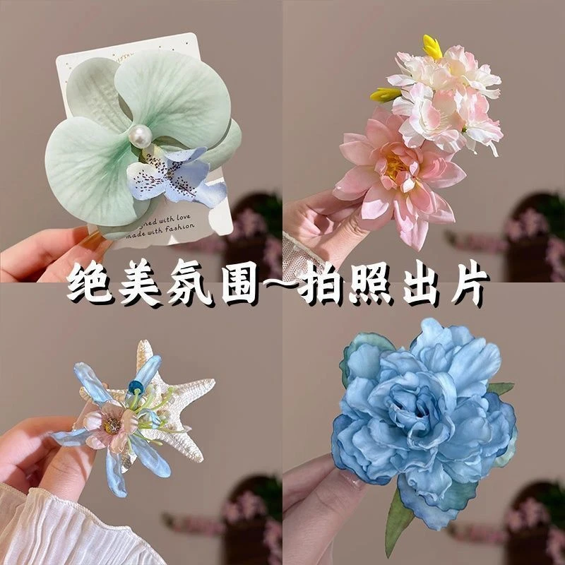 海洋系列碎发夹永生花海星贝壳浆果头饰海边旅游度假拍照发卡发饰