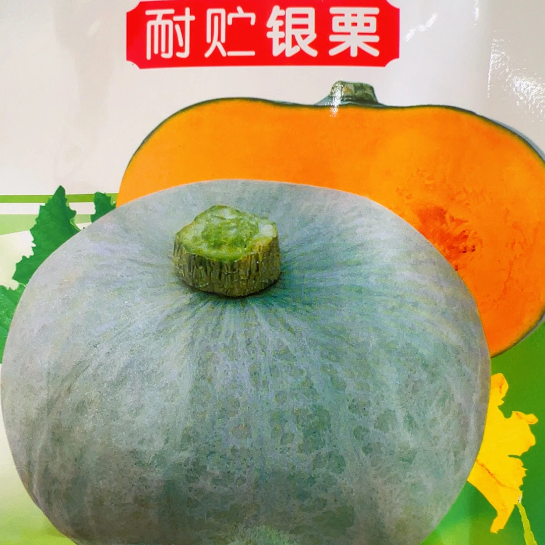 精选银栗板栗南瓜种子