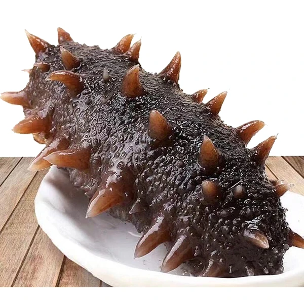 7-9头 即食海参  溯源海参 顺丰包邮