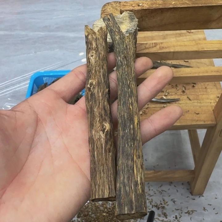 沉香碎屑沉香糖结