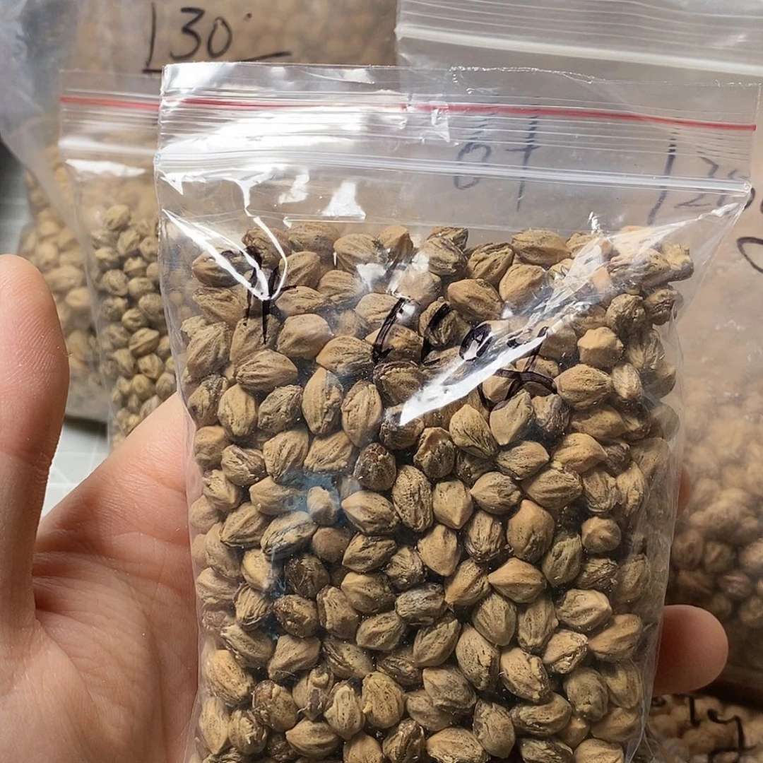 柏香籽/百香籽吊坠