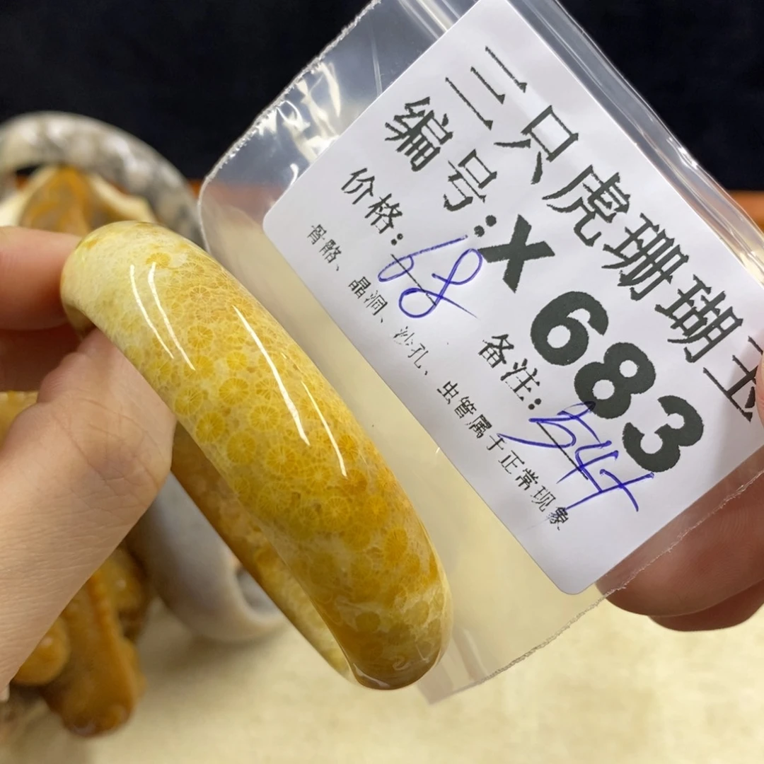 硅化珊瑚（珊瑚玉）1未镶嵌薠*了