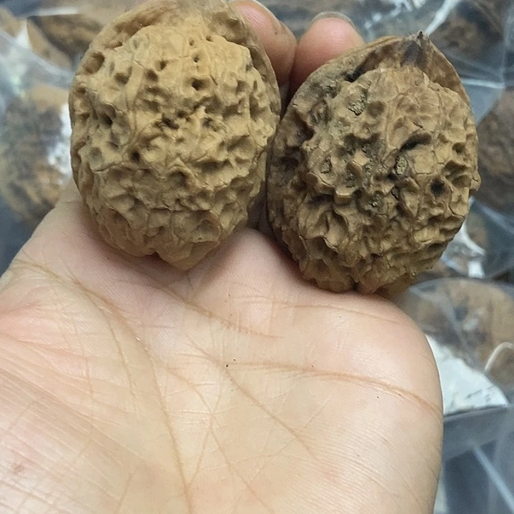 木质类云南铁核桃基地12