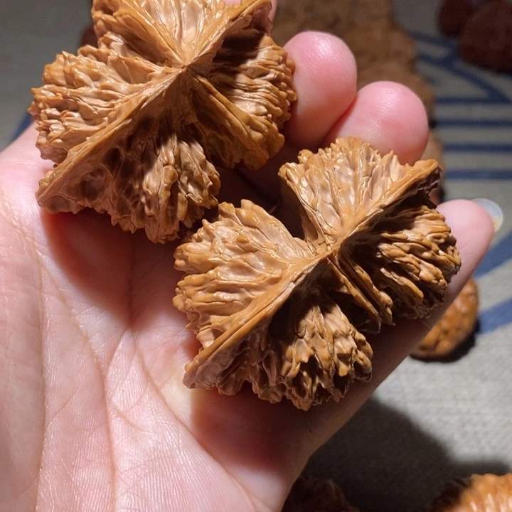 文玩核桃把件61+大连体