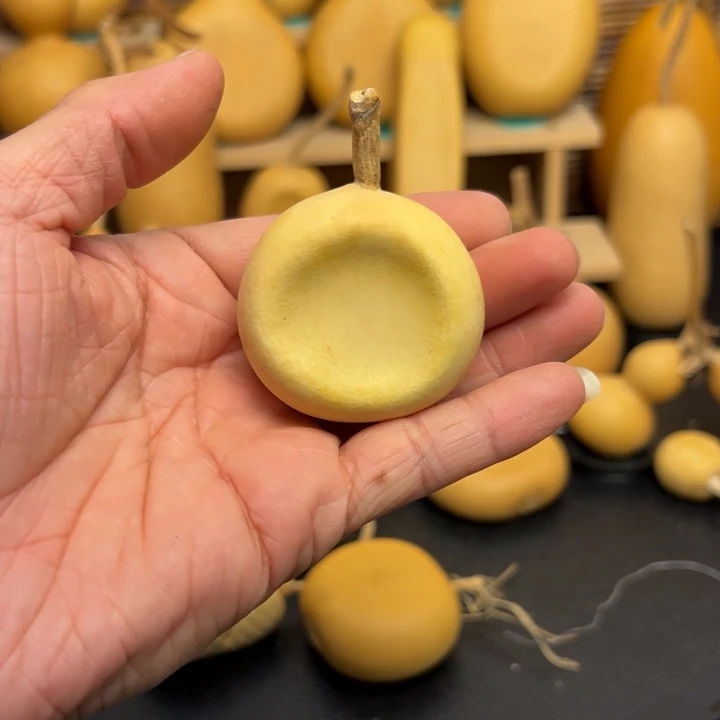 深****～5556669666666699