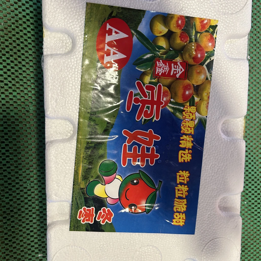 枣娃牌冬枣一箱3斤左右