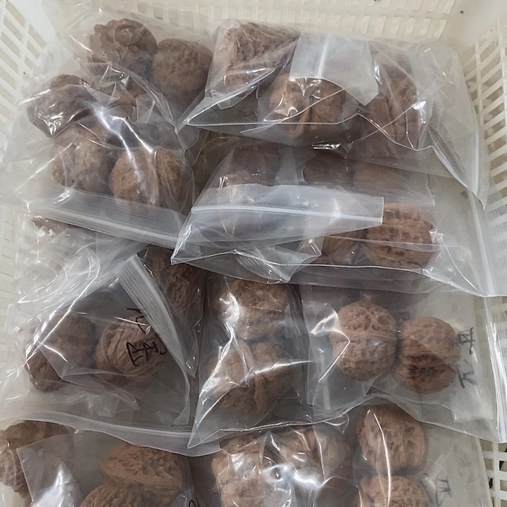 吊坠文玩核桃蟆宝南瑕疵