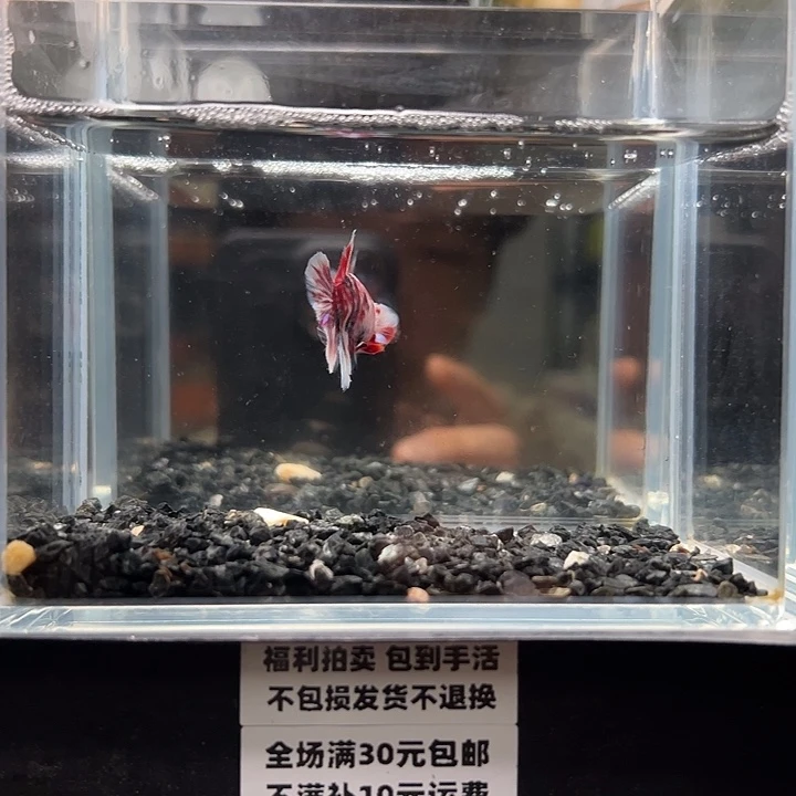 斗鱼满30包邮11日84