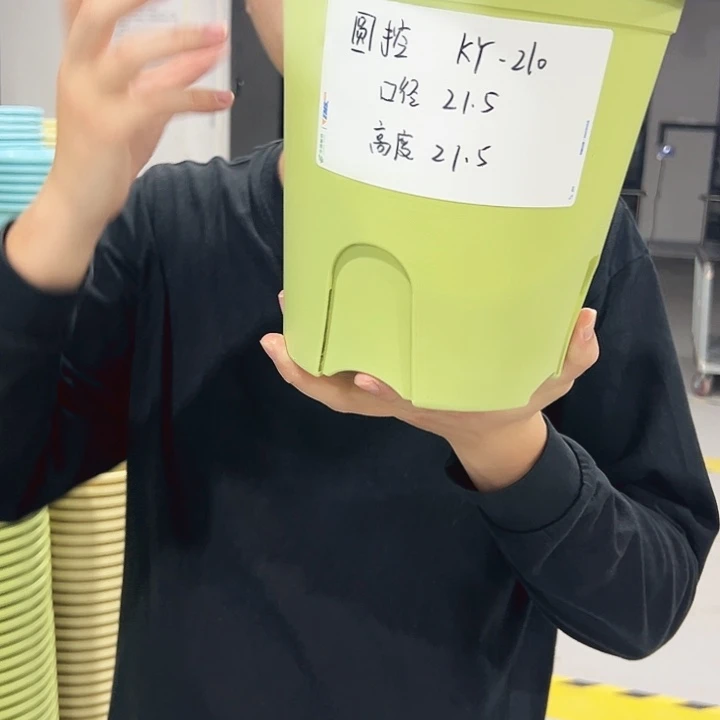 特价圆控口21高21果绿色5支无托