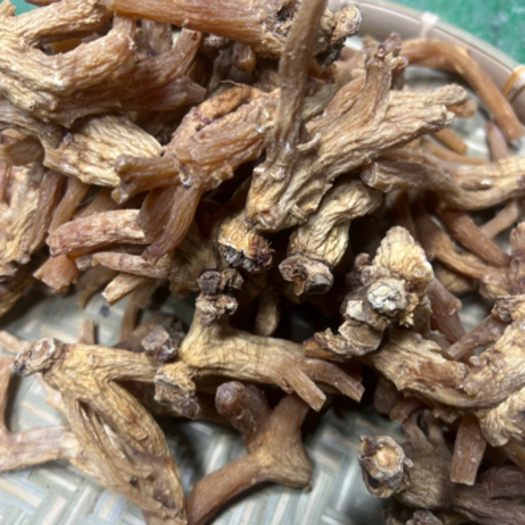 龙爪参精品（现称散装）