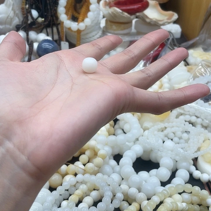 贝壳贝壳贝贝壳贝壳