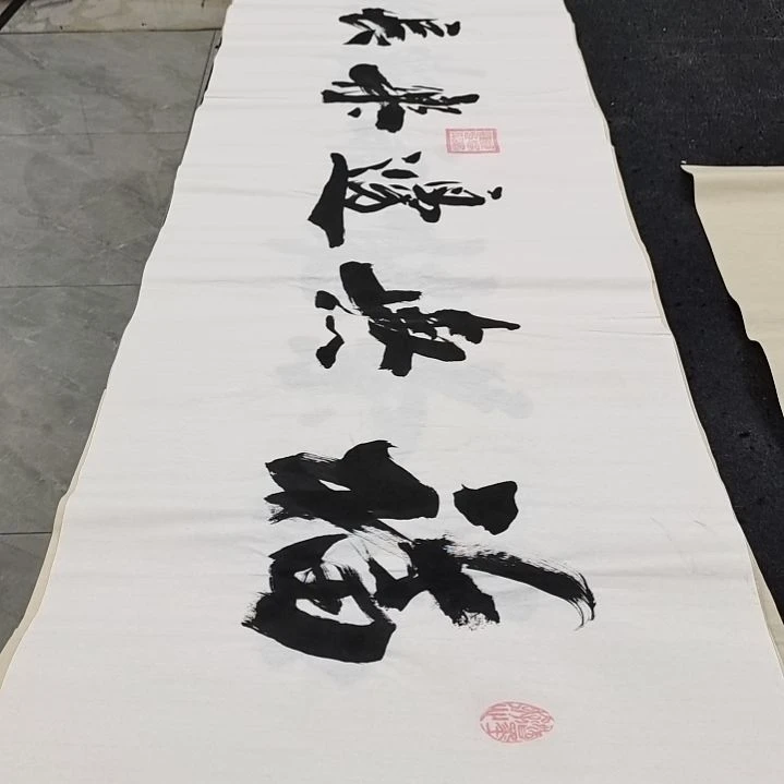 翰墨申国栋老师作品