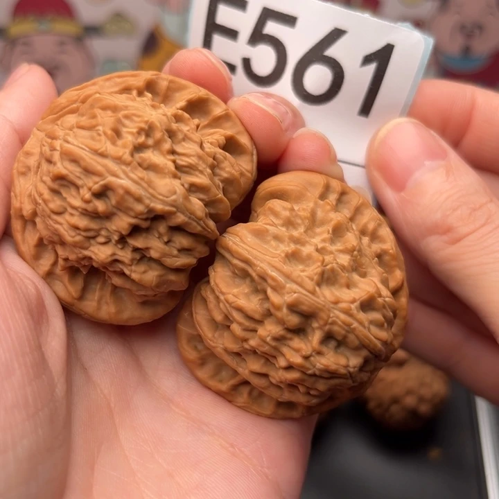 把件文玩核桃561白狮子44