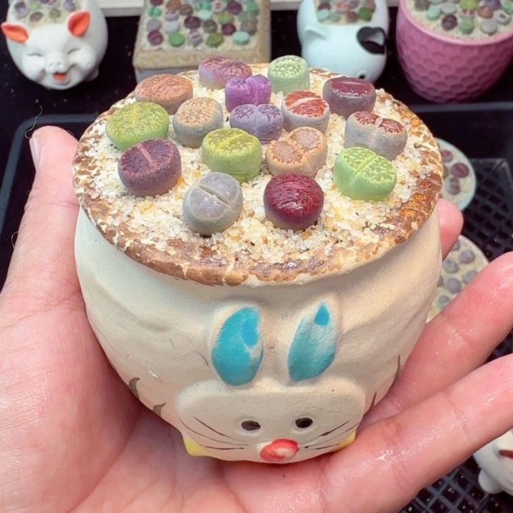 8022零下地区记得拍保温箱