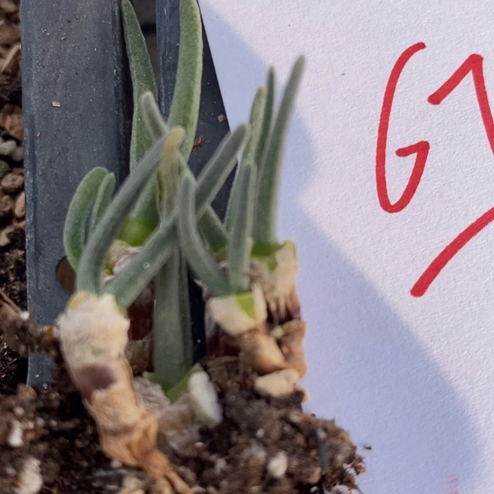 673一组一组一组