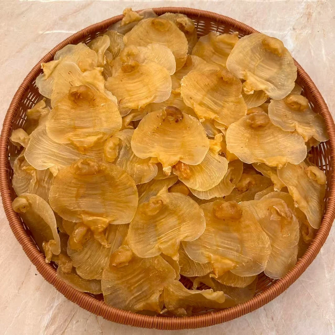 18头湛江赤嘴母胶 250克-500克-1000克