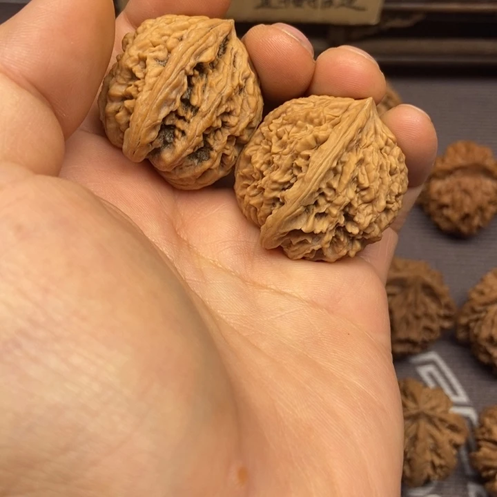 哈**籁全场比赛中的对手都有