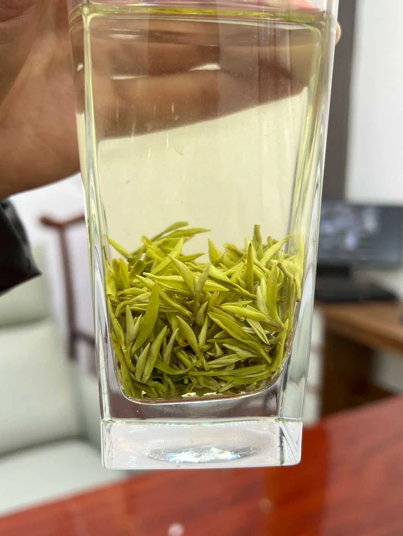 2025全手工甘露9号茶原料芽嫩