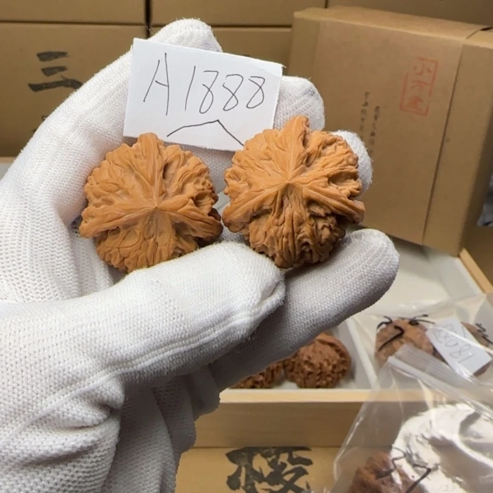 文玩核桃吊坠35尺寸御龙三棱