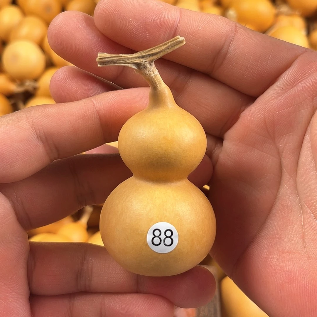 二葫芦葫芦葫芦88