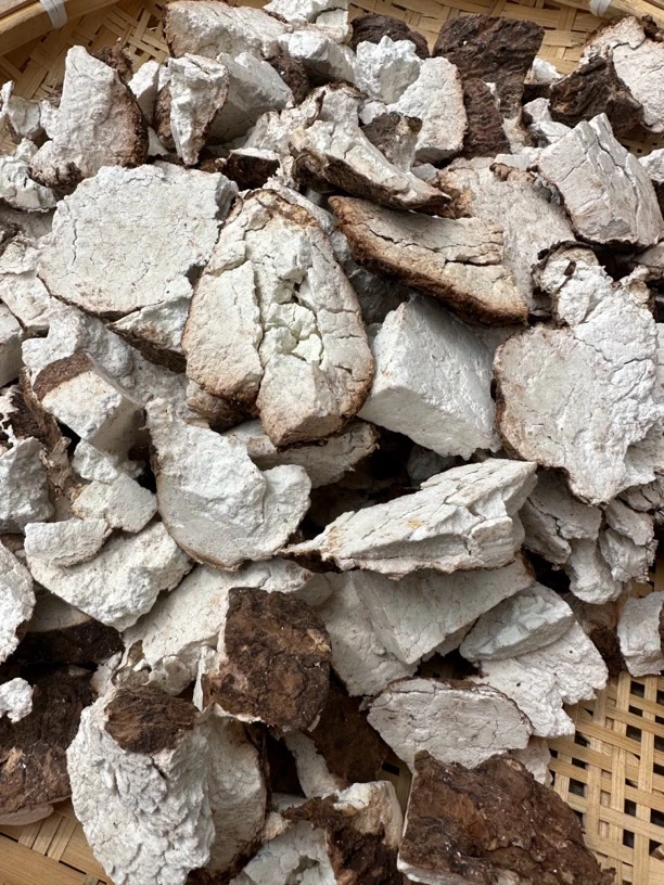 【雪儿达娃】西藏老茯苓 高海拔