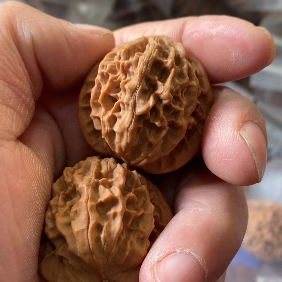 秦岭南侧和东北北部部分