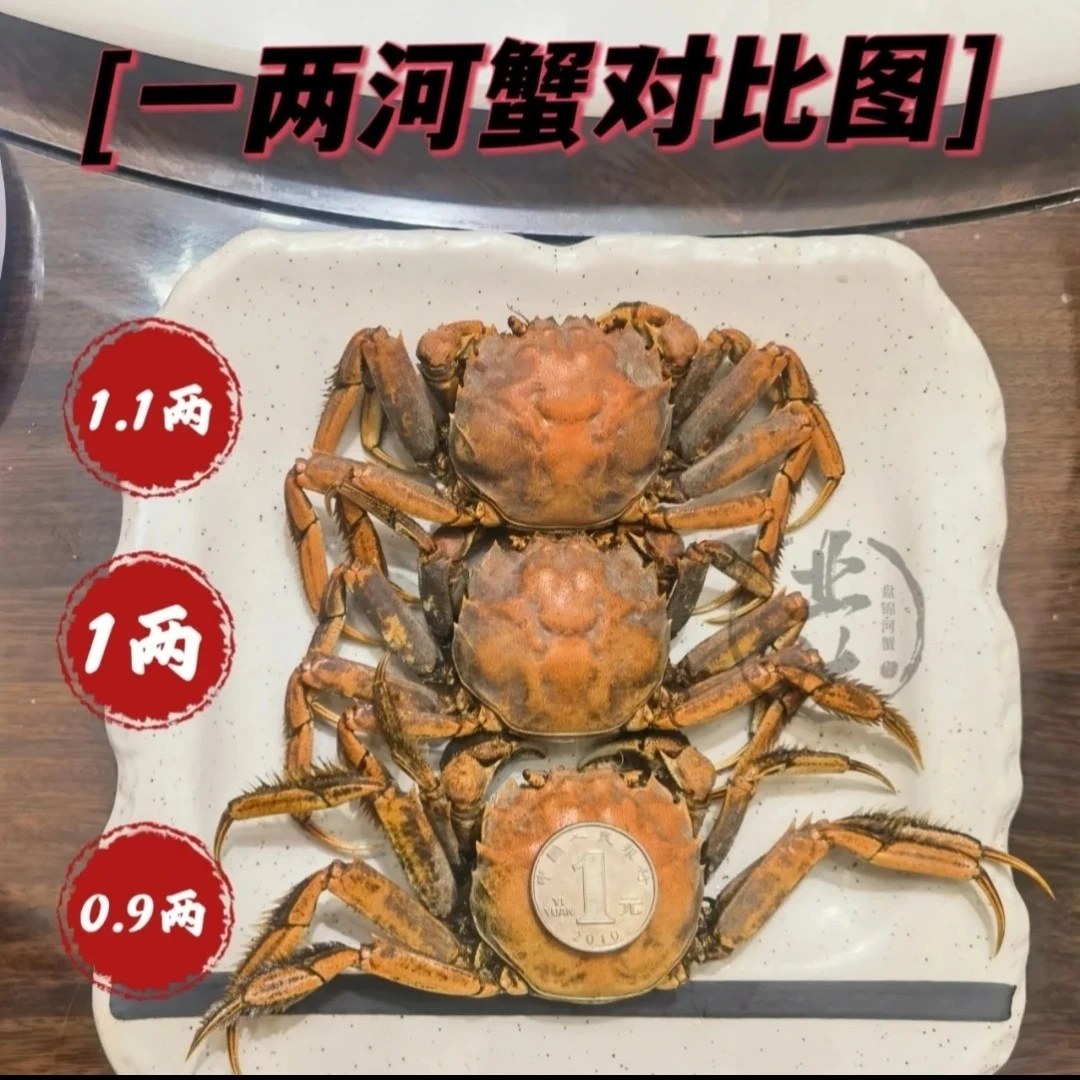 【活蟹】业达农场/盘锦河蟹/母蟹/0.9-1.1两/1.5斤/3斤 赠送无售后