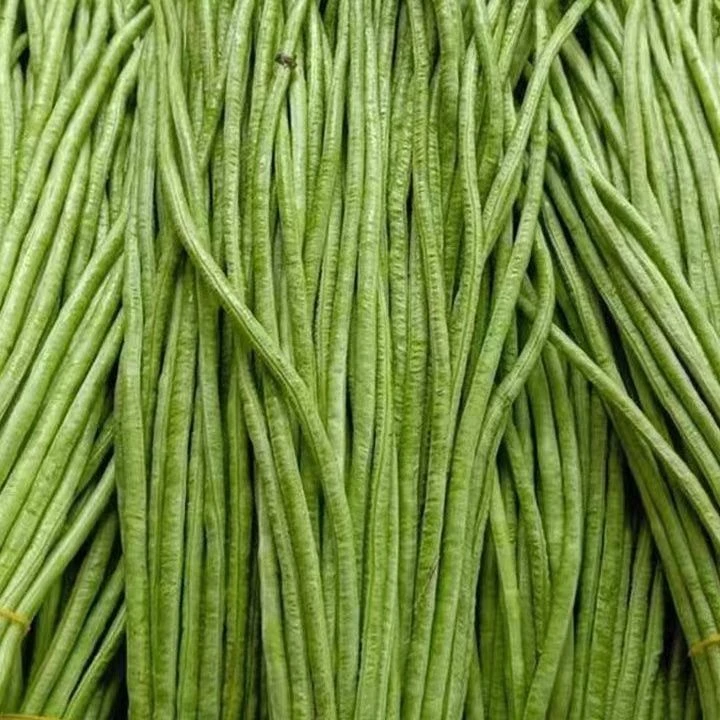山东露天长缸豆长豆角豆角豇豆蔬菜