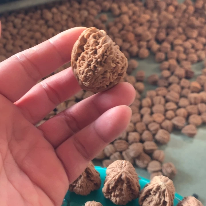 桃核吊坠南将石狮子头天使之翼