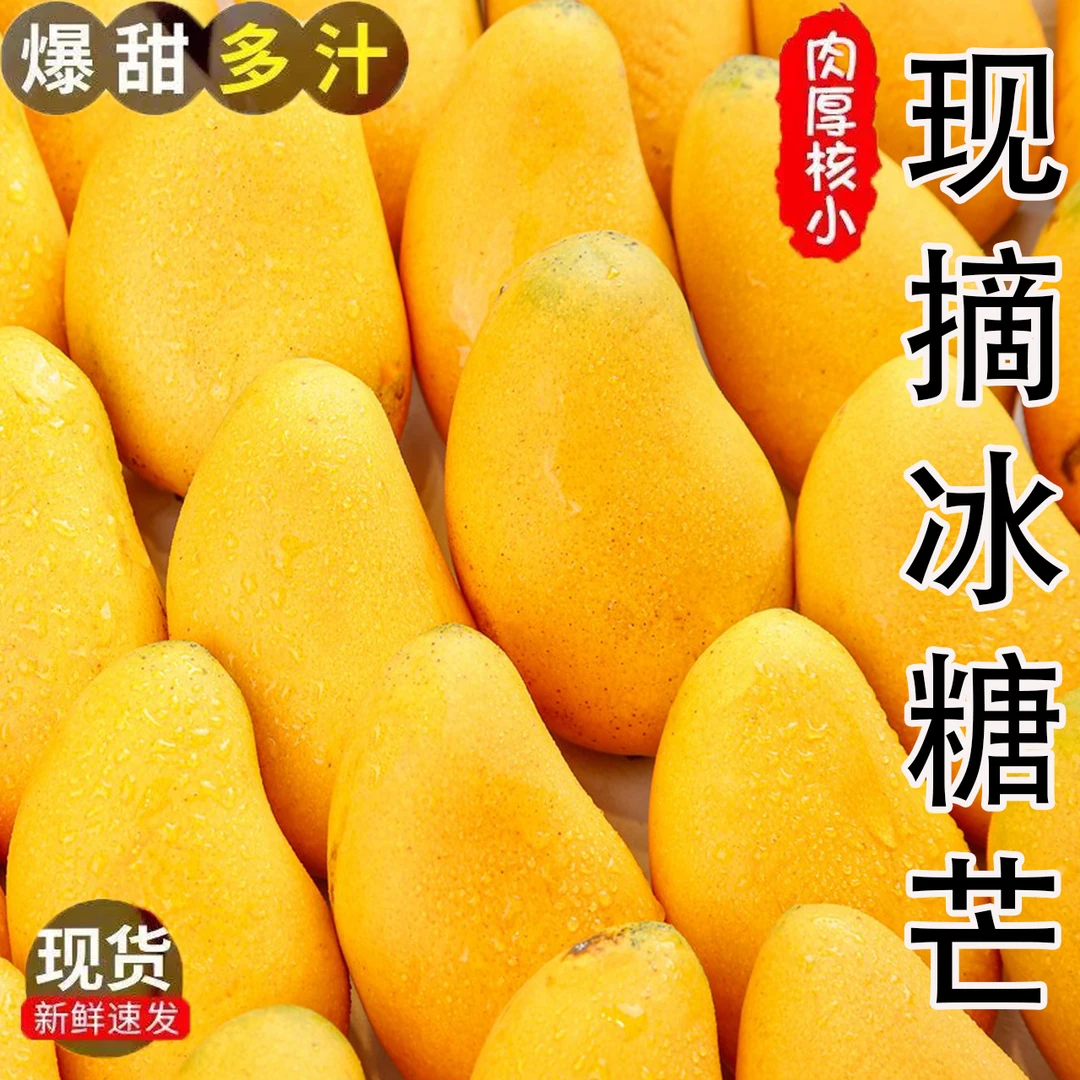 【新鲜】小台农芒应季水果芒果小台农香甜多汁产地直发商用批发价