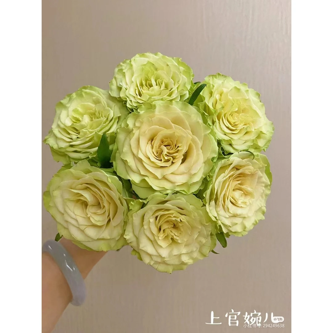 四十九上官婉儿10支+碎冰蓝桔梗一小把+蓝紫绣球一支绿灵草一小把
