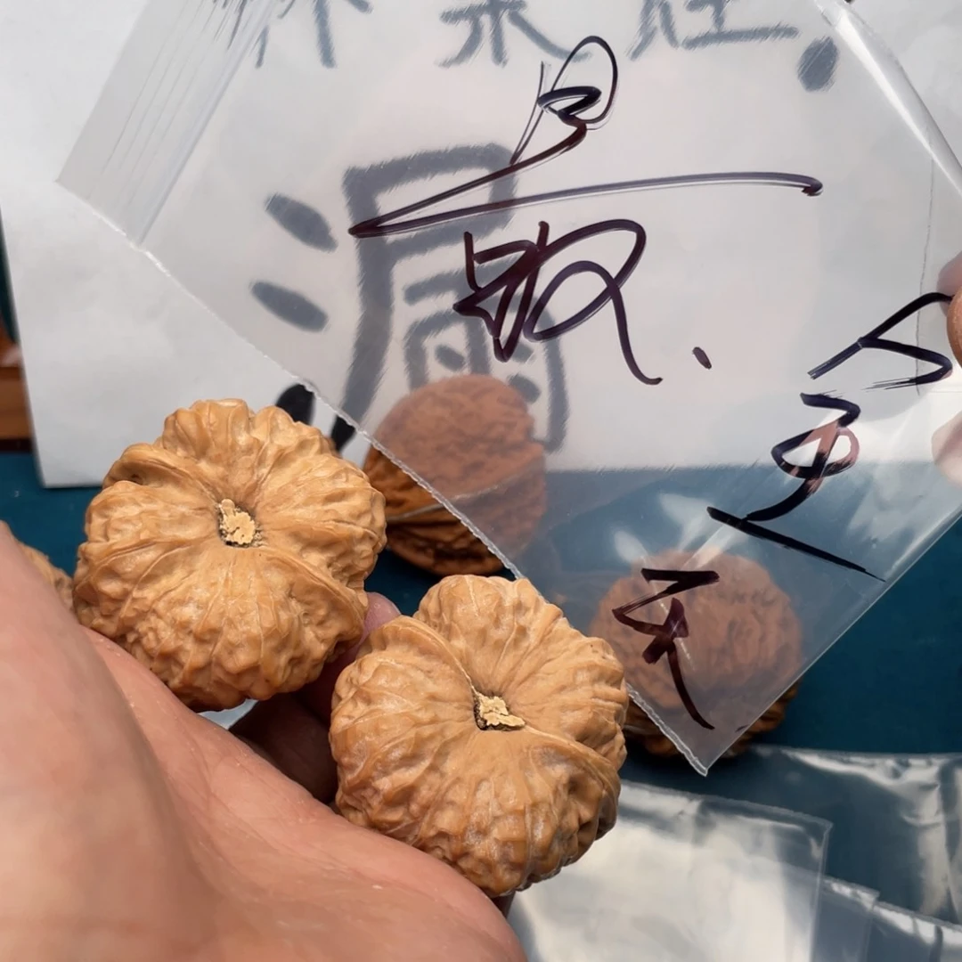 核桃手串/手链86753537357357