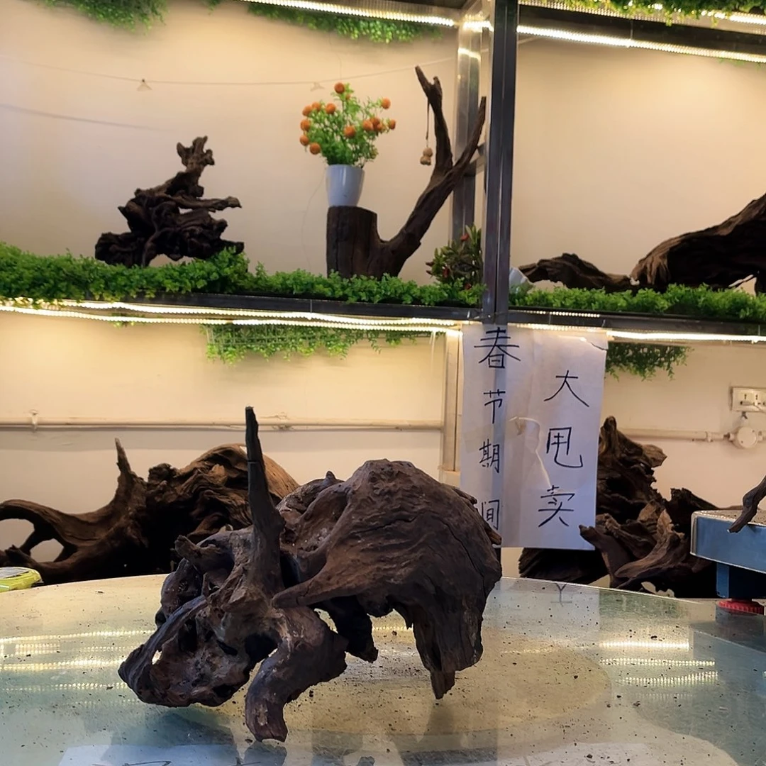 柚木沉木鱼缸造景