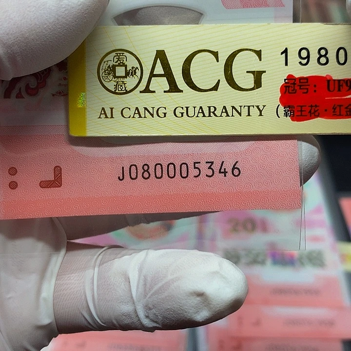 一张一张一张一张一张