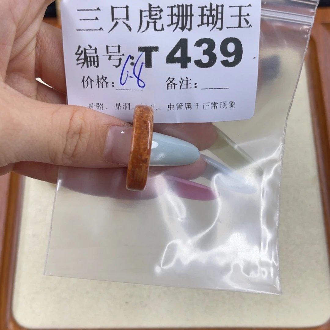 *****硅化珊瑚（珊瑚玉）h未镶嵌