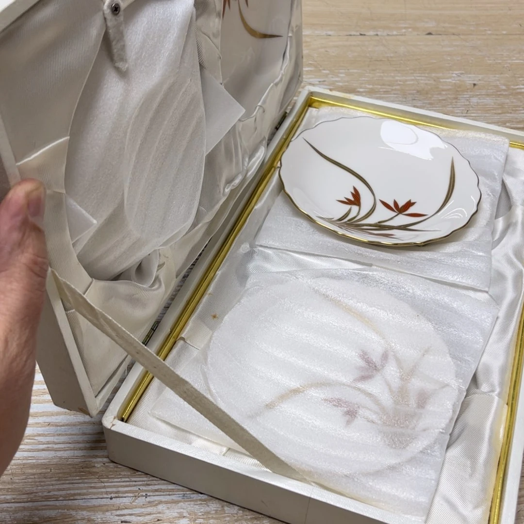 瓷片草****3密密麻麻地排列着一