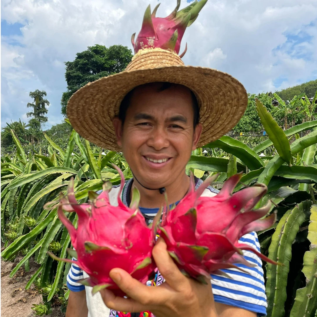 【精品桂红龙一号】云南桂红龙红心火龙果热带水果整箱5斤清甜多汁