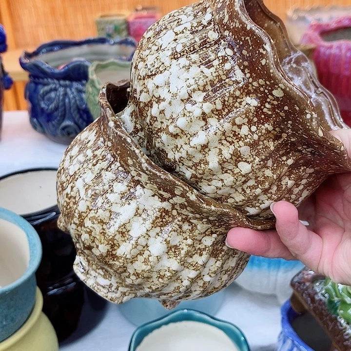 多肉植物陶瓷花盆