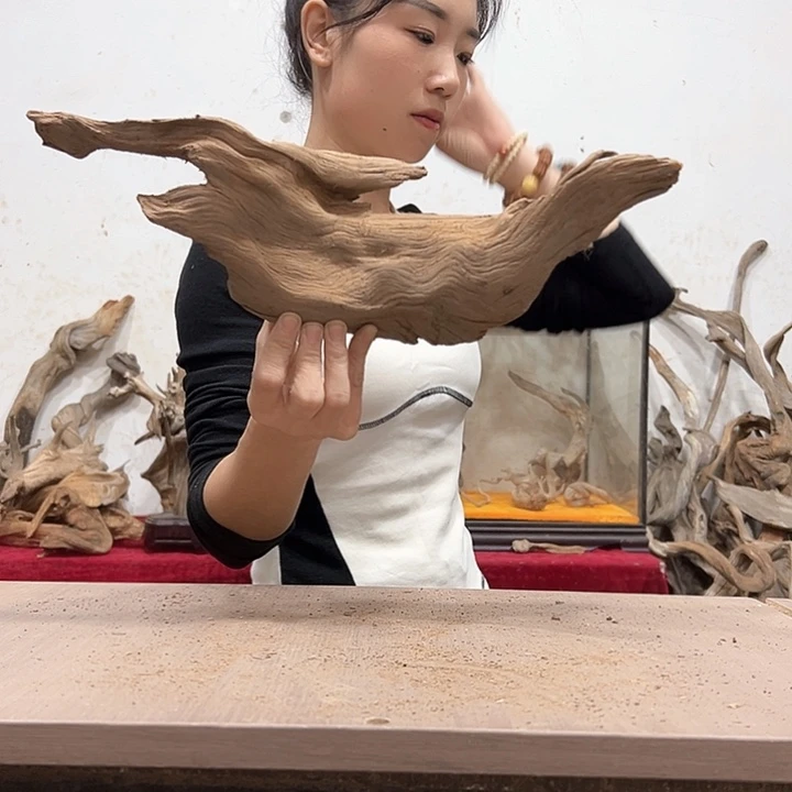 柏木班*我们的生活也
