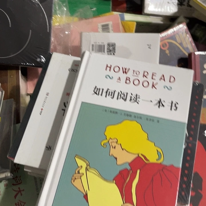 如何阅读一本书十二米