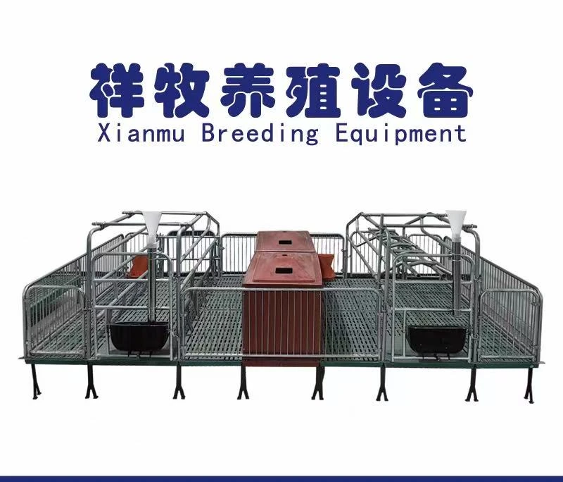 母猪产床猪用复合板整体产床限位栏保育床产保一体双体分娩床