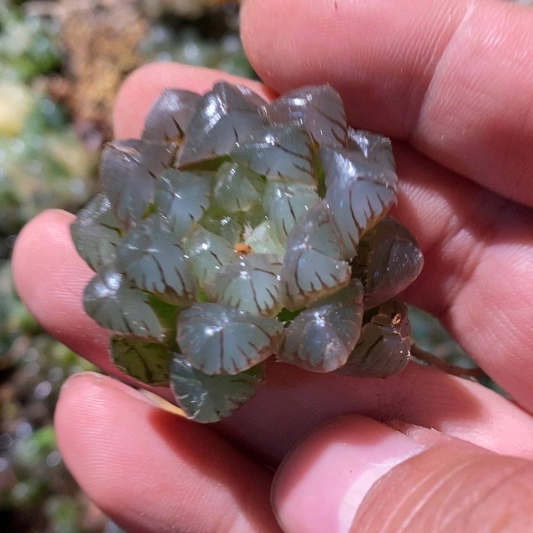 1***咩2349 一颗福利。