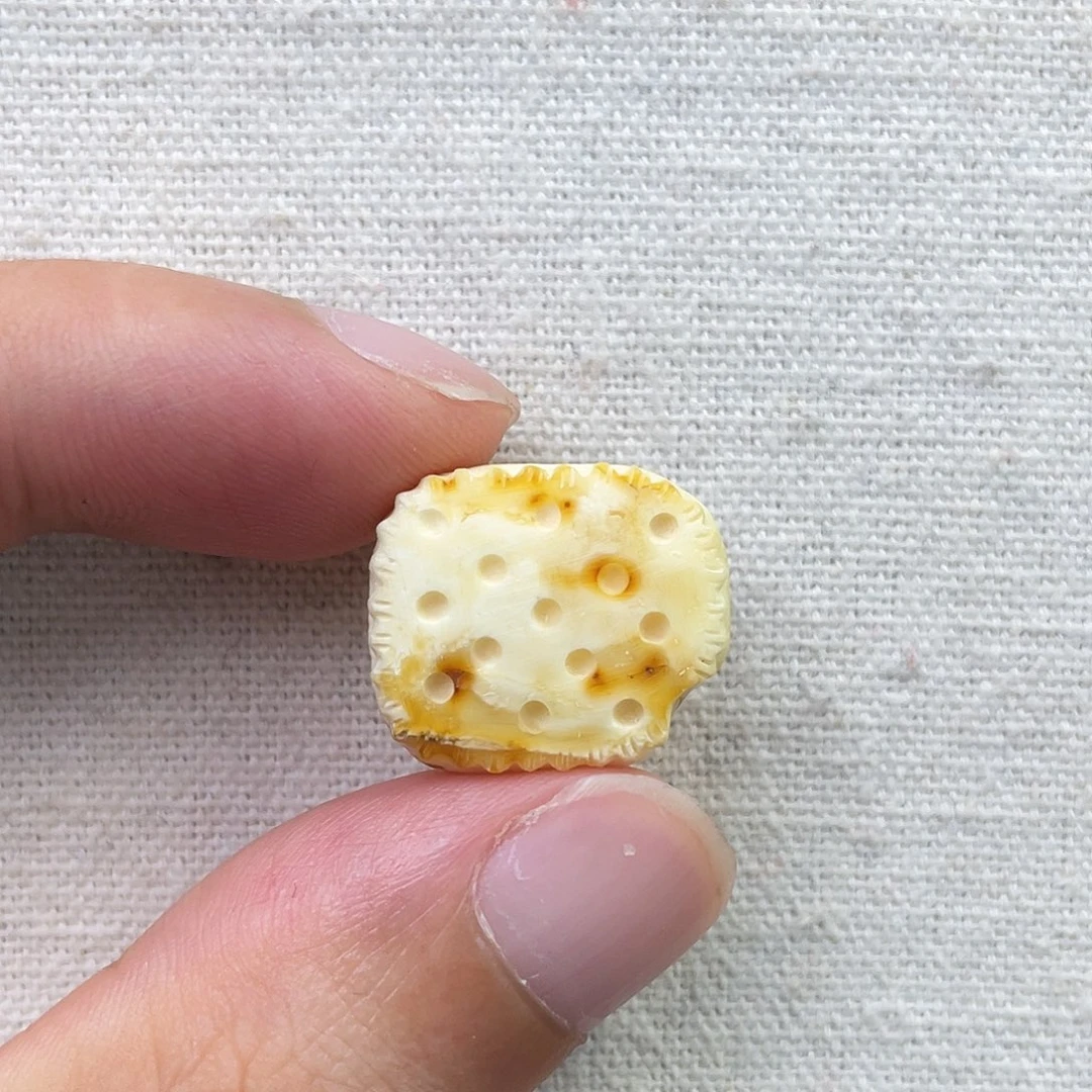 琥珀未镶嵌珠宝奇石饼干