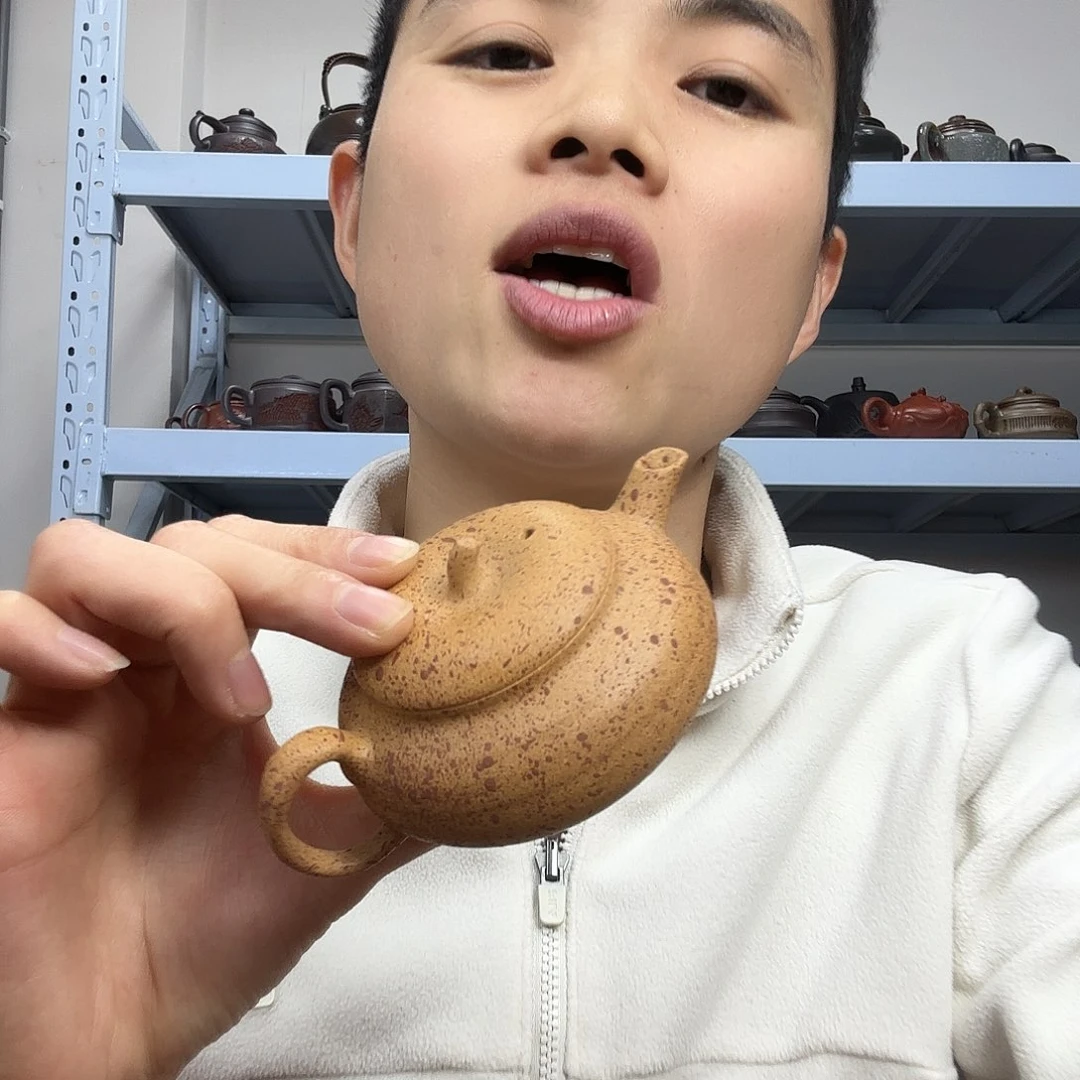 茶壶紫砂民间手艺人全手工制作