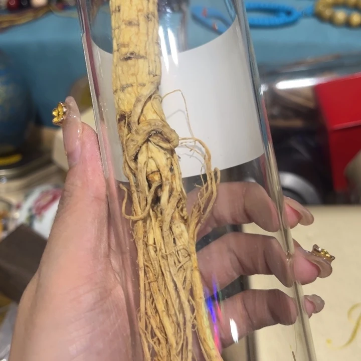————————————————紫砂