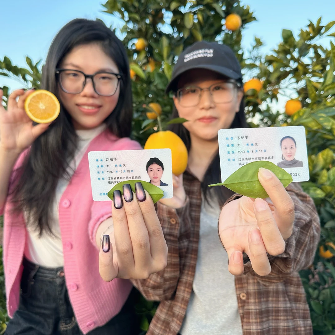 正宗赣南脐橙新鲜现摘信丰果园直发高山老树脐橙皮薄肉厚香甜多汁